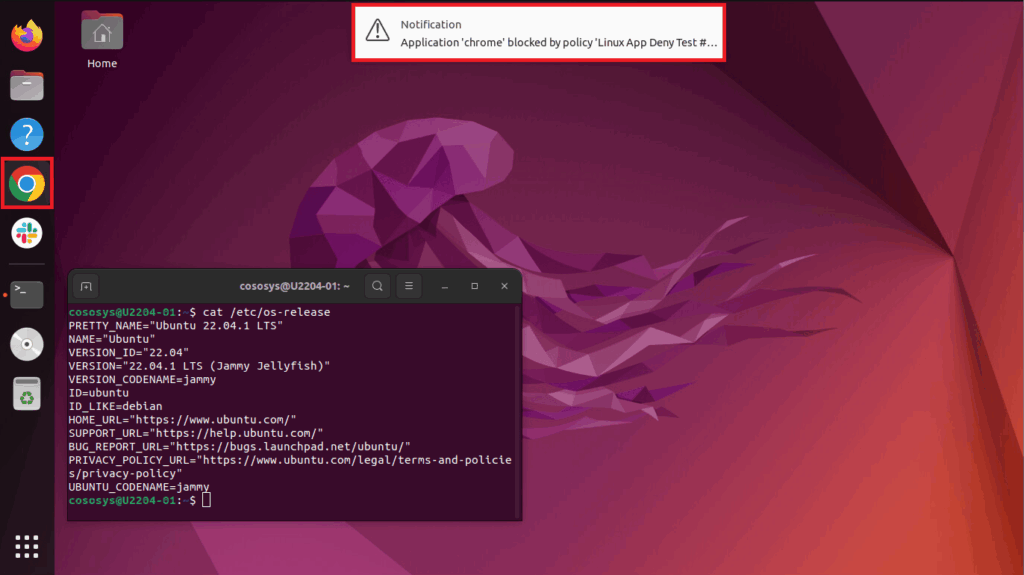 [기술자료] CoSoSys EPP for Linux 환경에서의 SW(프로세스) 실행제어 - 코소시스솔루션