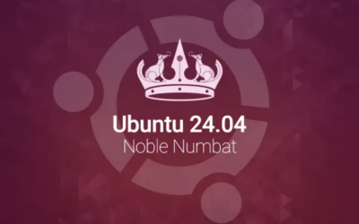 [기술자료] CoSoSys EPP는 Ubuntu 24.04 Noble Numbat를 즉시 지원합니다.